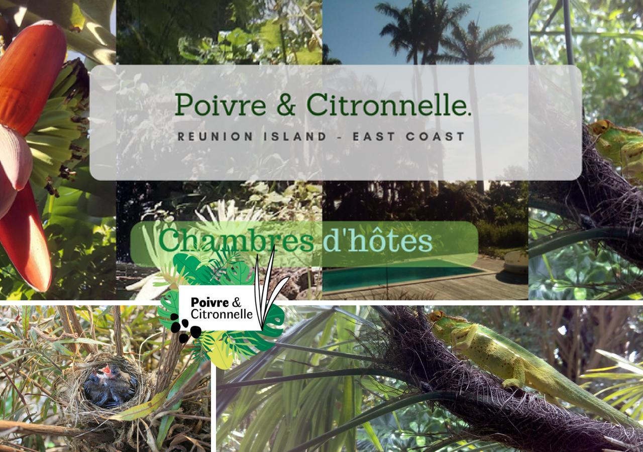 Bed and Breakfast Poivre Et Citronnelle Сент-Андре Екстер'єр фото
